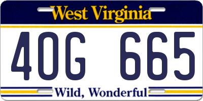 WV license plate 4OG665
