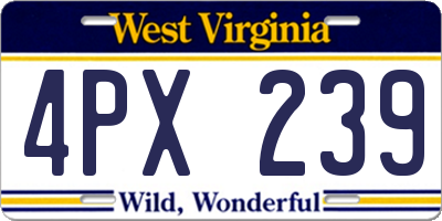 WV license plate 4PX239