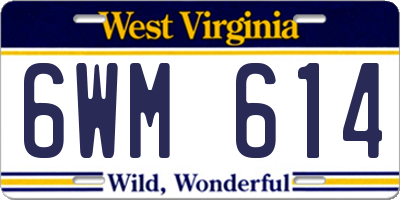 WV license plate 6WM614