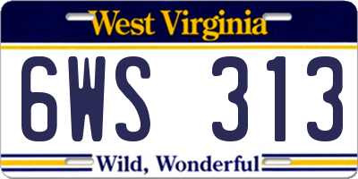 WV license plate 6WS313