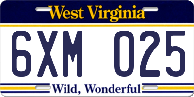 WV license plate 6XM025