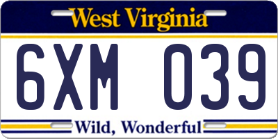 WV license plate 6XM039