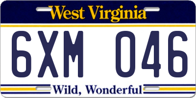 WV license plate 6XM046
