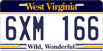 WV license plate 6XM166