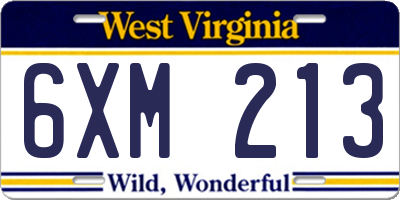 WV license plate 6XM213
