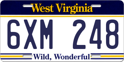 WV license plate 6XM248