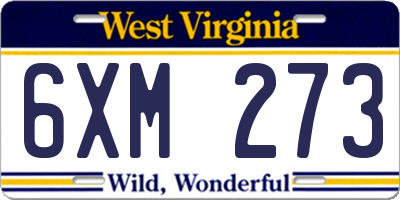 WV license plate 6XM273