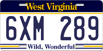 WV license plate 6XM289