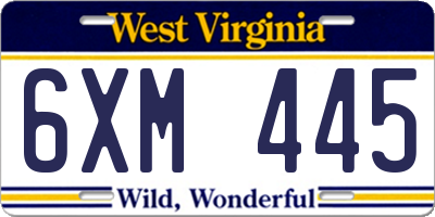 WV license plate 6XM445