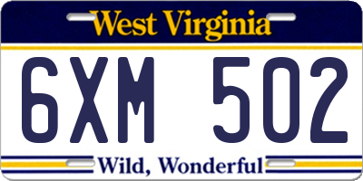 WV license plate 6XM502