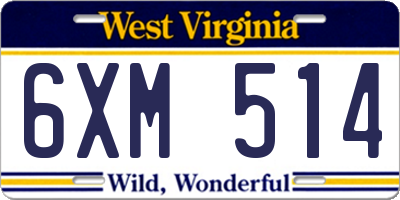 WV license plate 6XM514