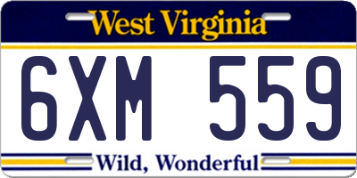 WV license plate 6XM559