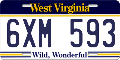 WV license plate 6XM593