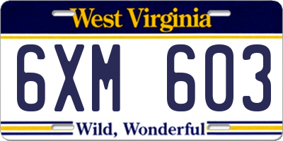 WV license plate 6XM603