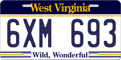 WV license plate 6XM693