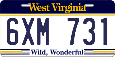 WV license plate 6XM731