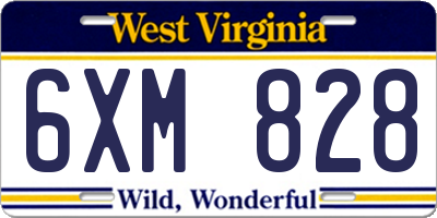 WV license plate 6XM828