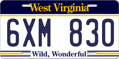 WV license plate 6XM830