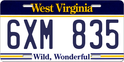 WV license plate 6XM835