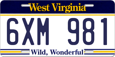 WV license plate 6XM981