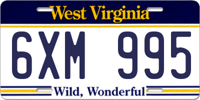 WV license plate 6XM995