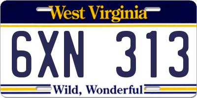 WV license plate 6XN313
