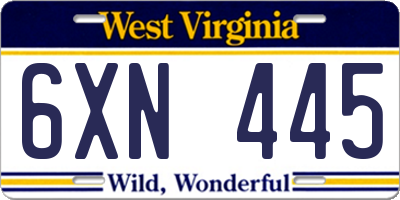 WV license plate 6XN445