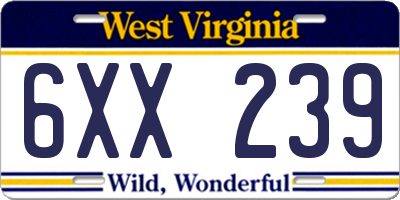 WV license plate 6XX239
