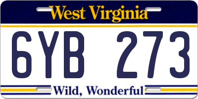 WV license plate 6YB273