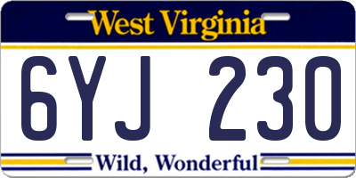 WV license plate 6YJ230