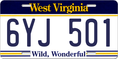 WV license plate 6YJ501
