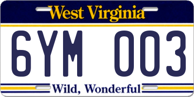 WV license plate 6YM003