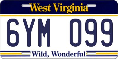 WV license plate 6YM099