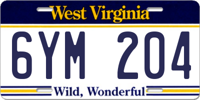 WV license plate 6YM204