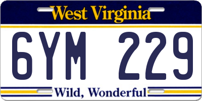 WV license plate 6YM229