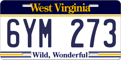 WV license plate 6YM273