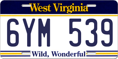 WV license plate 6YM539