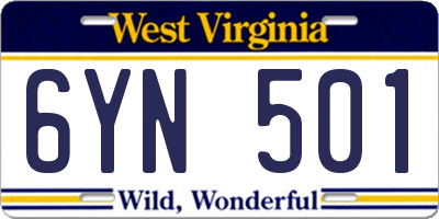 WV license plate 6YN501