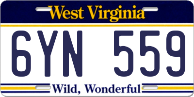 WV license plate 6YN559