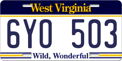 WV license plate 6YO503