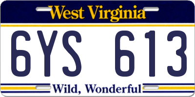 WV license plate 6YS613