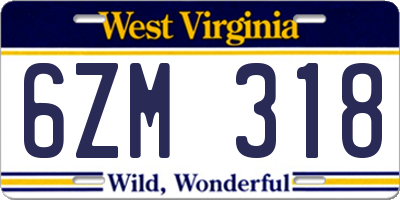 WV license plate 6ZM318