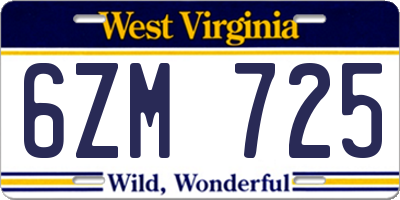WV license plate 6ZM725