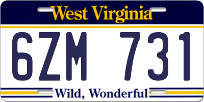 WV license plate 6ZM731