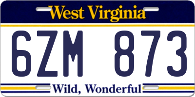 WV license plate 6ZM873