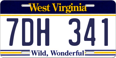 WV license plate 7DH341