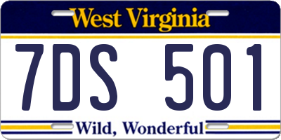 WV license plate 7DS501