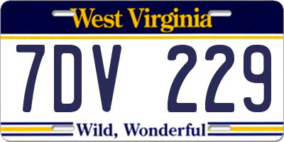 WV license plate 7DV229