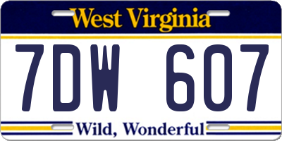 WV license plate 7DW607