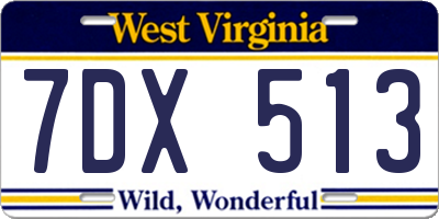 WV license plate 7DX513